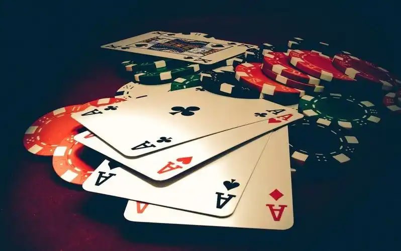 v6pg bet v6pg bet